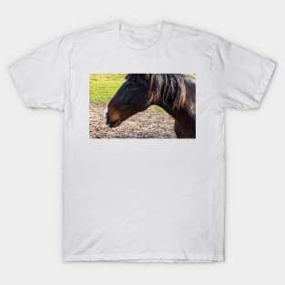 Portrait of a beautiful horse T-Shirt